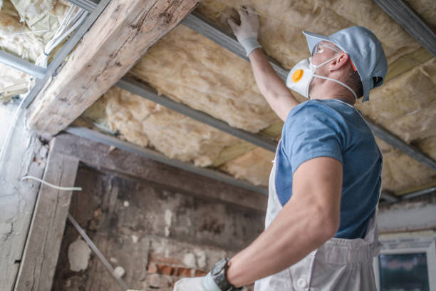 Insulation Repair Services in Newbern, TN