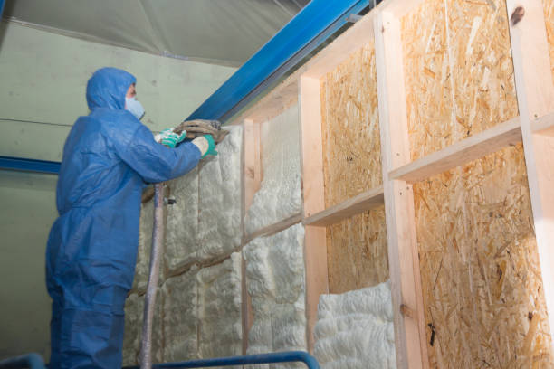 Best Insulation Contractors for Homes  in Newbern, TN