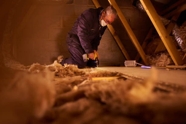 Best Local Insulation Services  in Newbern, TN